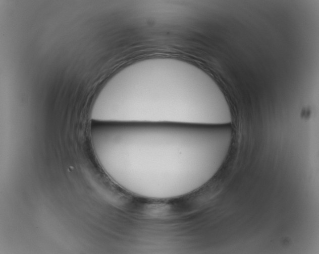 X0000111610266200907171047