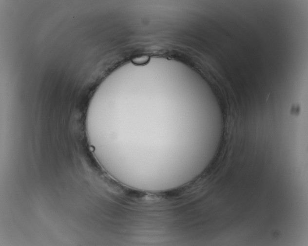 X0000111610270200907171047