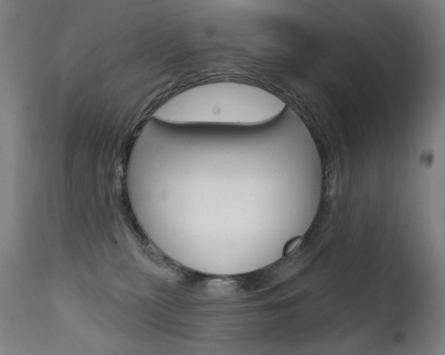 X0000111610279200907171047