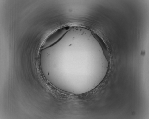 X0000111610289200907171046