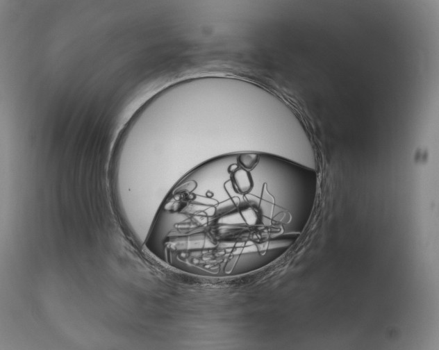 X0000111610292200907171046