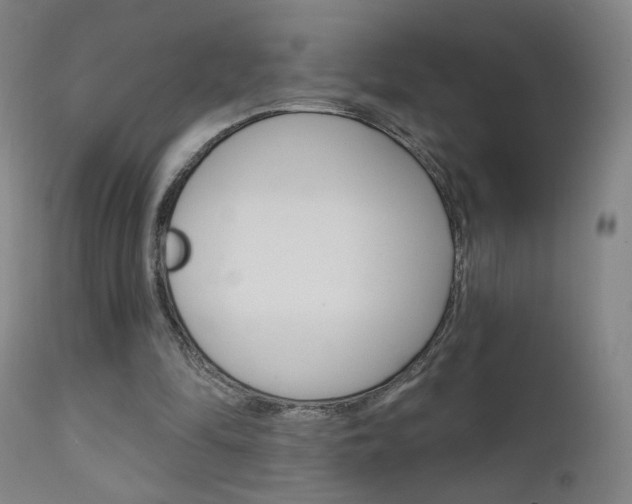 X0000111610294200907171046