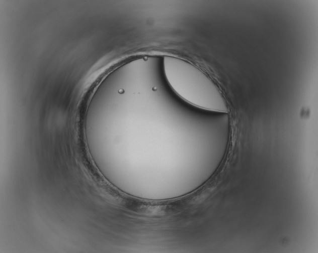 X0000111610295200907171046