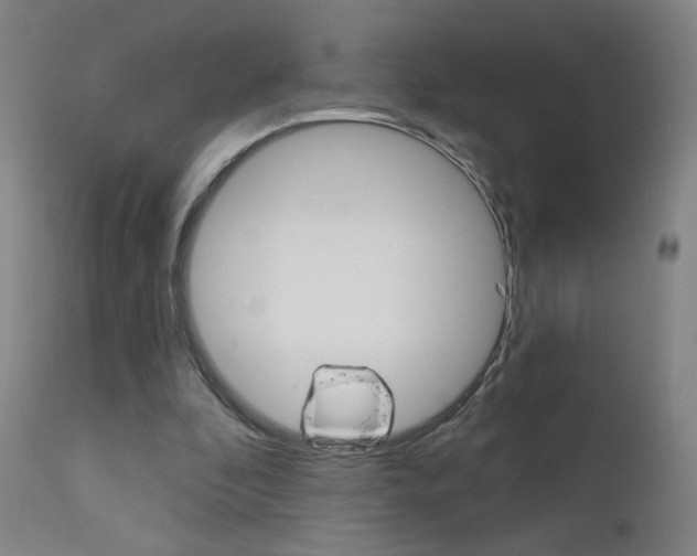X0000111610296200907171046