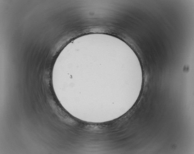 X0000111610297200907171046