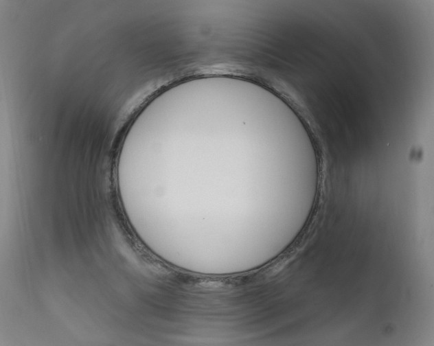 X0000111610298200907171046