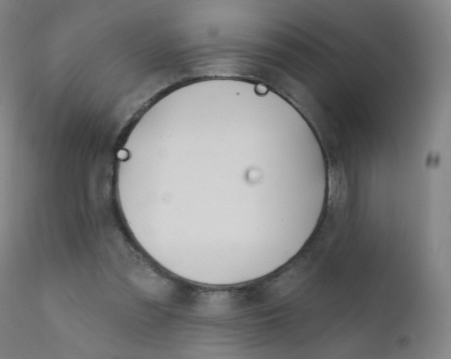X0000111610301200907171046