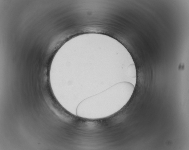 X0000111610302200907171046
