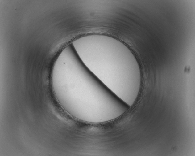 X0000111610303200907171046