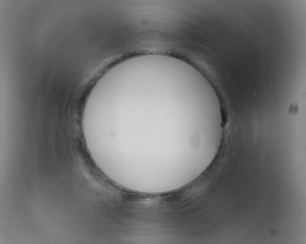 X0000111610306200907171046