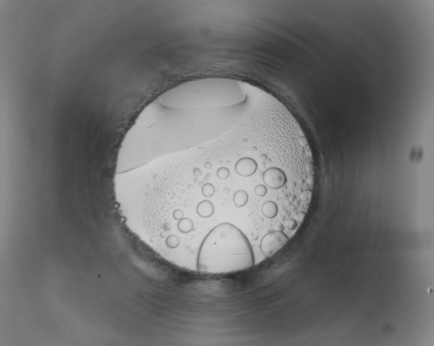 X0000111610307200907171046