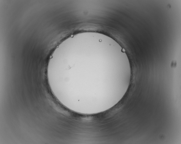 X0000111610309200907171046