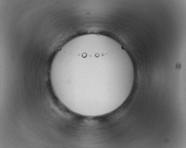 X0000111610311200907171046