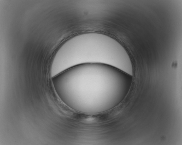 X0000111610312200907171046