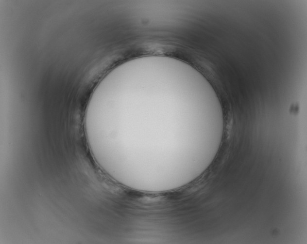 X0000111610314200907171046