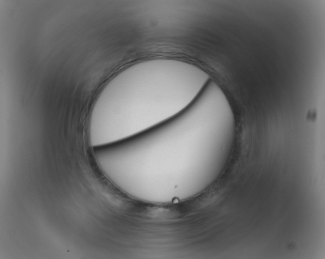 X0000111610315200907171046