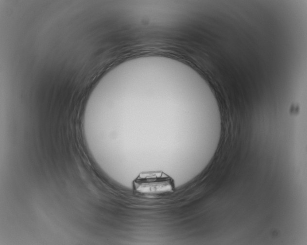 X0000111610316200907171046