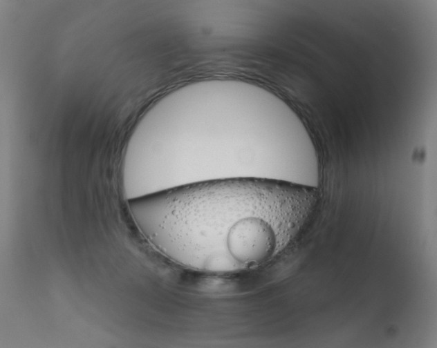 X0000111610319200907171046