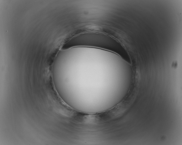 X0000111610320200907171046