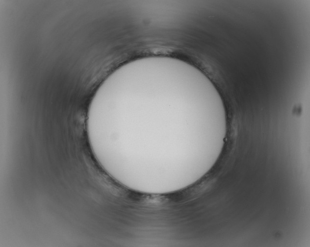 X0000111610321200907171046