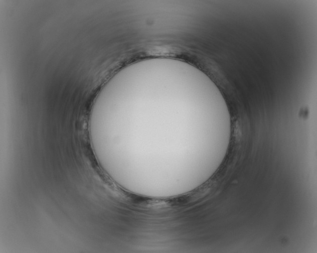 X0000111610322200907171046