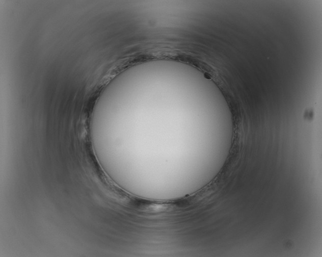 X0000111610323200907171046