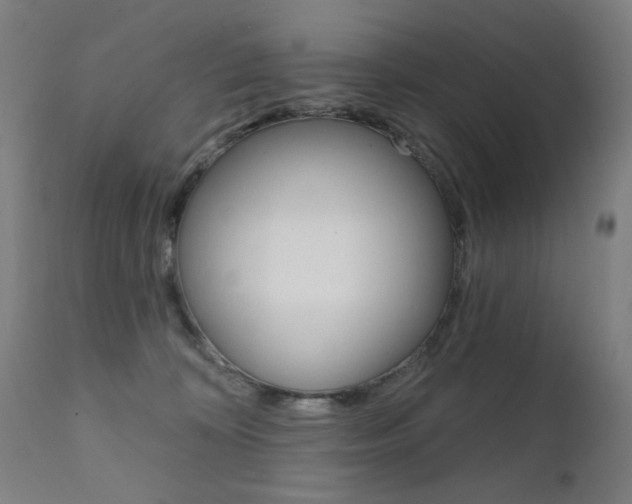 X0000111610324200907171046
