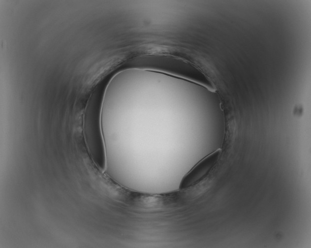 X0000111610325200907171046