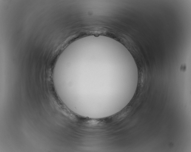 X0000111610326200907171046