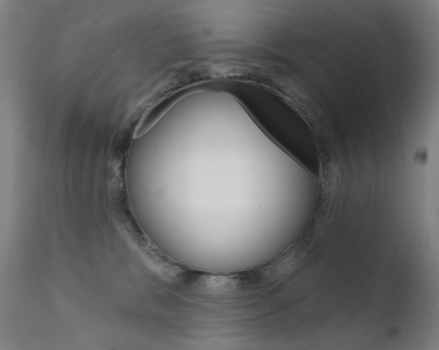 X0000111610327200907171045