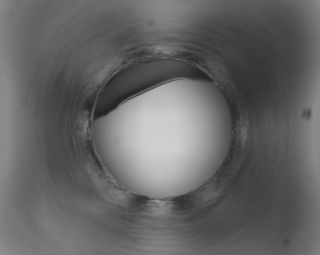 X0000111610328200907171045