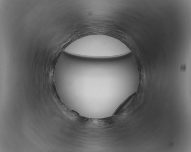 X0000111610329200907171045