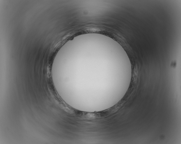 X0000111610330200907171045