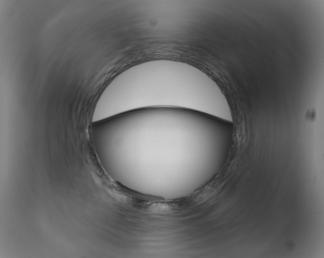 X0000111610332200907171045