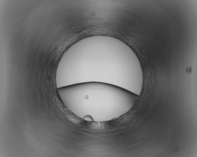 X0000111610335200907171045