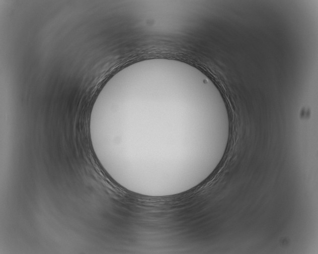 X0000111610336200907171045