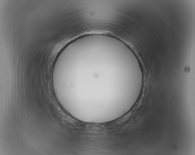 X0000111610337200907171044
