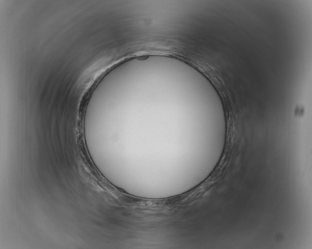 X0000111610338200907171044