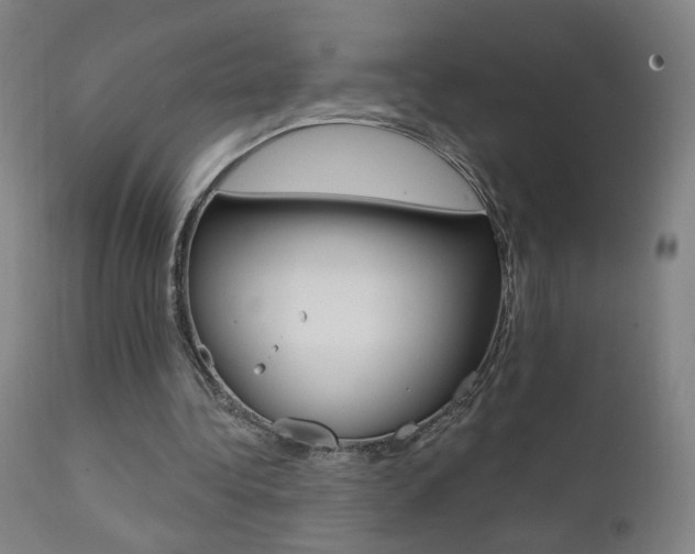 X0000111610340200907171045