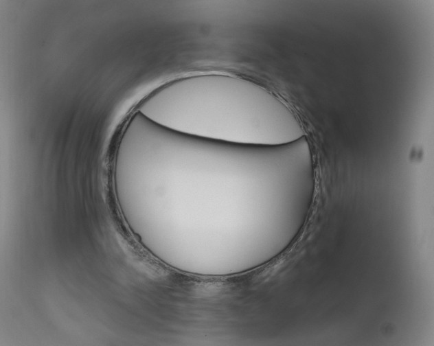 X0000111610342200907171045