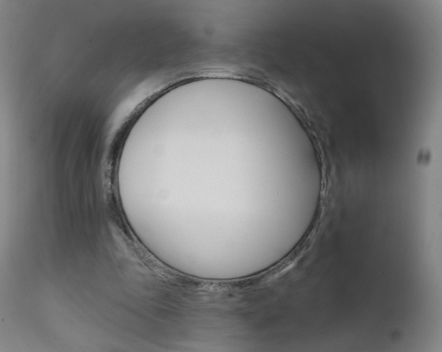 X0000111610343200907171045