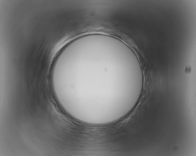 X0000111610344200907171045