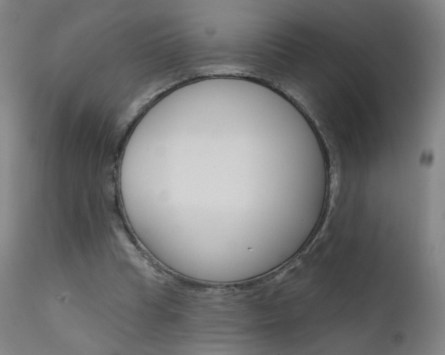 X0000111610345200907171045