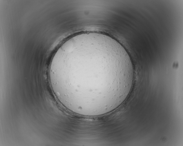 X0000111610347200907171045