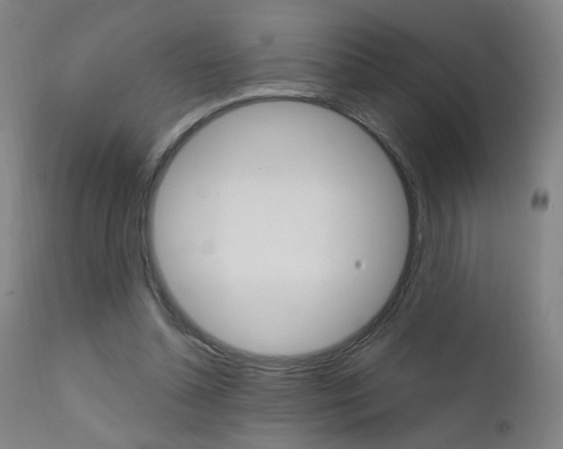 X0000111610348200907171045