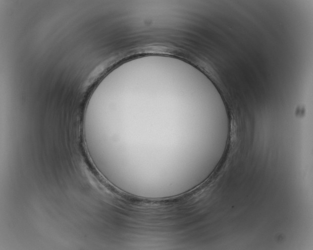 X0000111610349200907171045