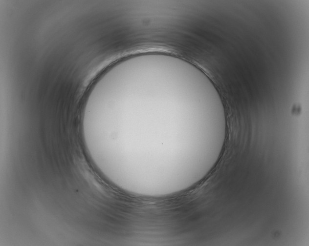 X0000111610350200907171045