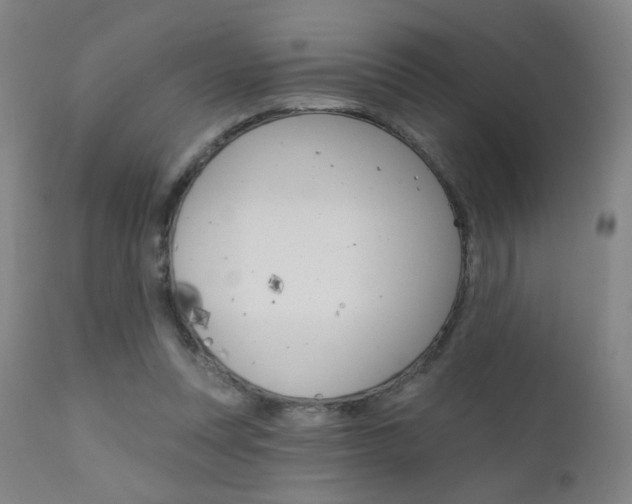 X0000111610351200907171045