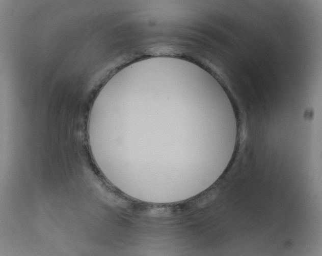 X0000111610353200907171045