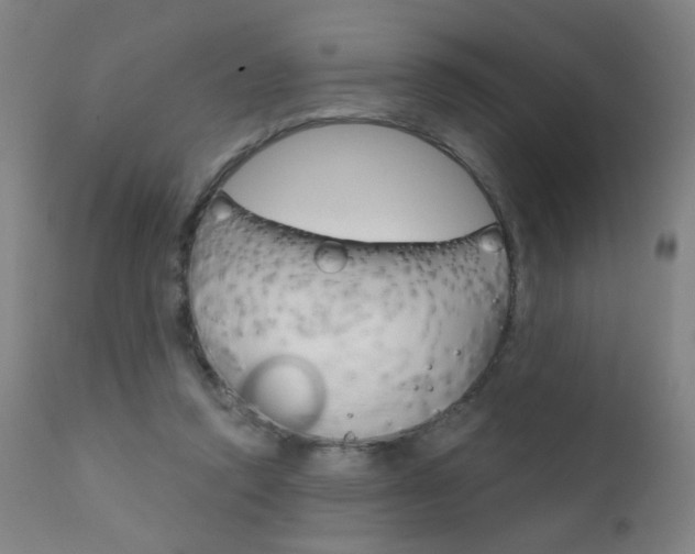 X0000111610354200907171045